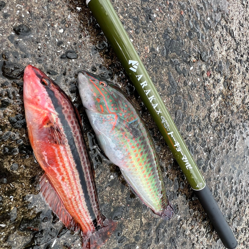 ARAKA FISHING ROD ver 1.0　